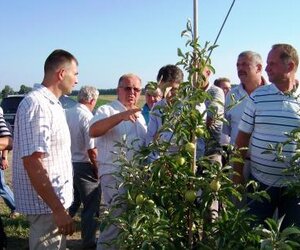 Садівники УНУС на міжнародному семінарі в Немирові